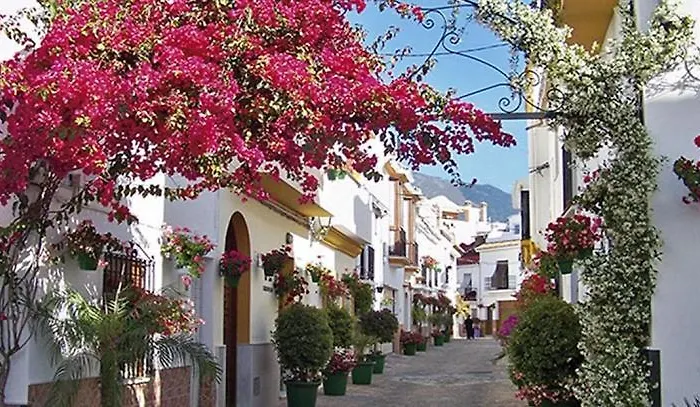 Centrico, Tranquilo Y Bonito