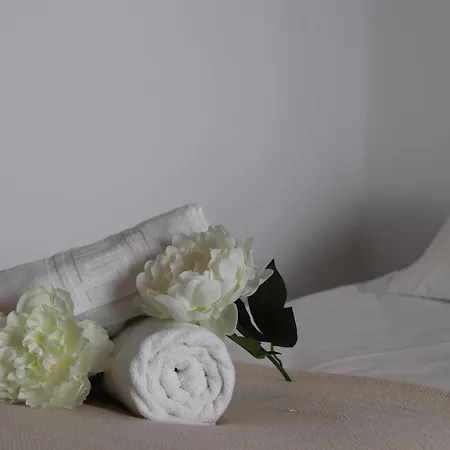 Centrico, Tranquilo Y Bonito 公寓 *